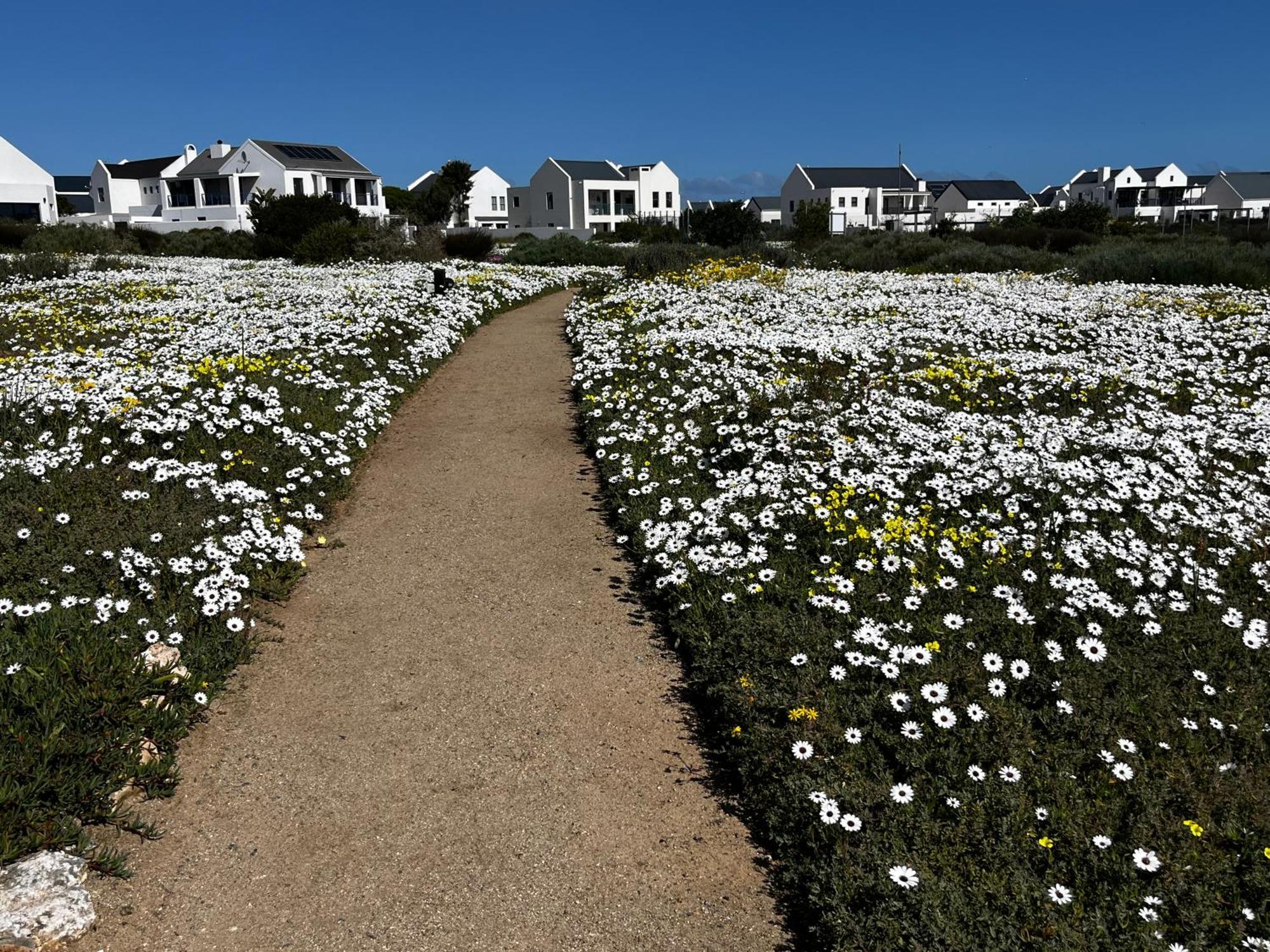 Clam Lagoon Apartment Langebaan Exterior photo